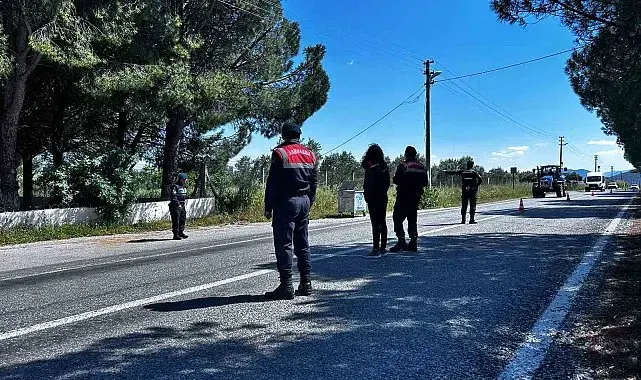 Didim'de kurbanlık denetimi