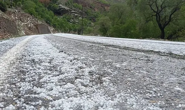 Çayırlı'da dolu yağışı etkili oldu
