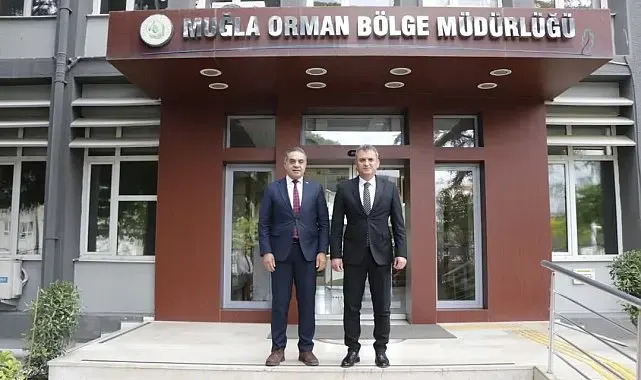 Aydın'da kestane ağaçları biyolojik mücadele ile korunuyor
