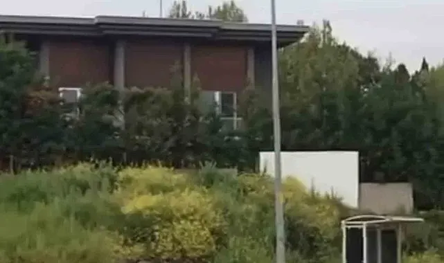 Aç kalan domuz sürüsü, gündüz şehir merkezine indi