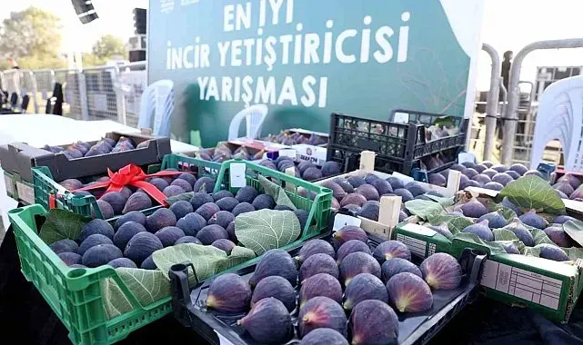 12. Akçalar Fadıllı İncir Festivali 13 Eylül'de Akçalar Göl Kıyısı'nda