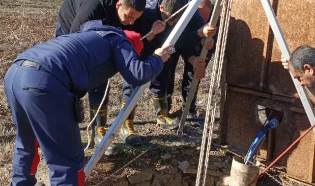 Kuyuya düşen köpek kurtarıldı