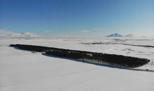 Bozkırın ortasındaki vahada kış güzelliği