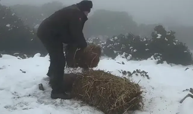 Dilek Yarımadası Milli Parkı'nda doğal yaşam için yem bırakıldı