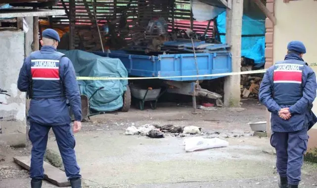 Annesinin horozları komşuya verdiğini duyunca tüfekle dehşet saçtı