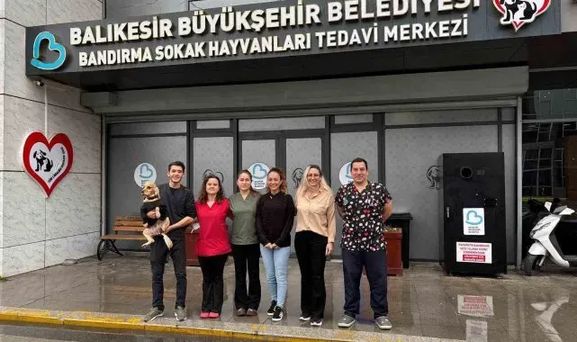 Bandırma Sokak Hayvanları Tedavi Merkezi 13 bin 459 hayvana şifa dağıttı