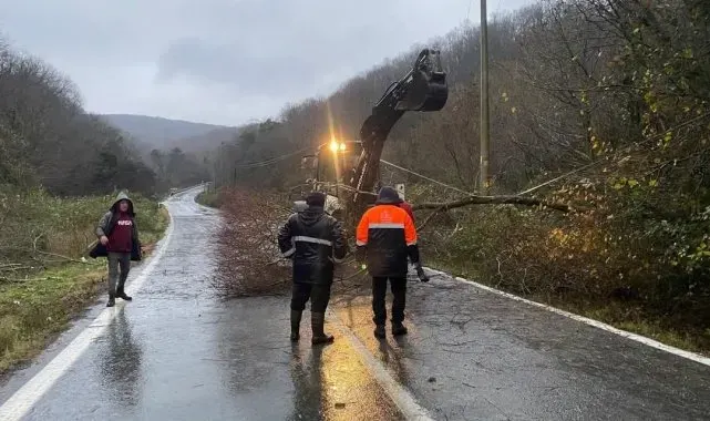 Kırklareli'nde rüzgardan kopan elektrik telleri yangına neden oldu