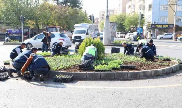 Diyarbakır'da 1 milyon 152 bin bitki dikildi