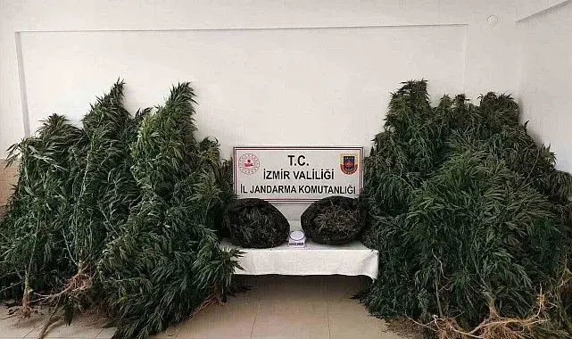 İzmir'de zehir tacirlerine 'drone' destekli operasyon: 13,4 kilo esrar ele geçirildi