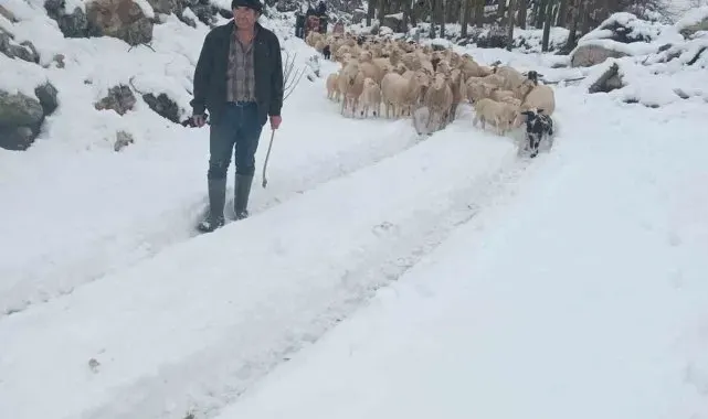 Burdur'da sürüsüyle birlikte mahsur kalan çoban kurtarıldı