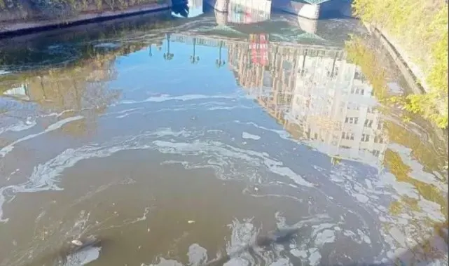 Milletvekili Hatipoğlu'ndan ESKİ ve Başkan Ünlice'ye Porsuk Çayı eleştirisi