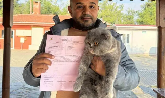 Can dostlar sıcak yuvalara kavuştu