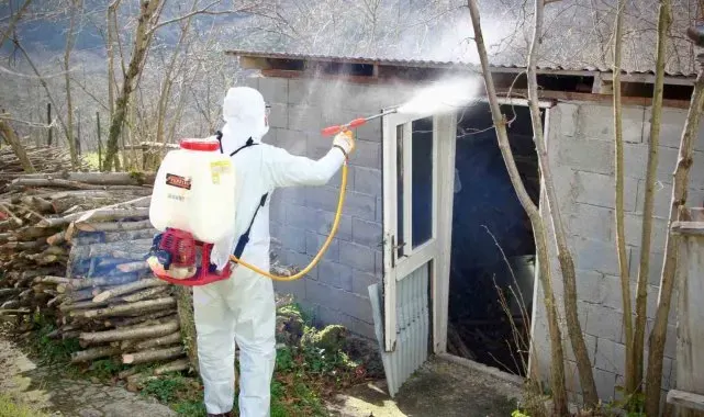 Giresun Belediyesi, kokarca ile mücadelede ilaçlama desteği veriyor