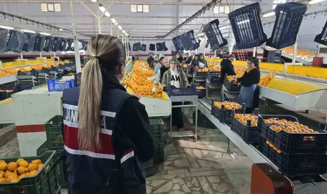 Jandarma ekipleri kadınları bilgilendirdi