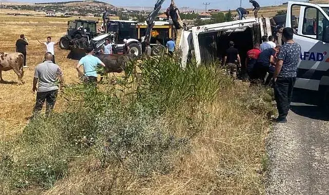 Boztepe'de hayvan yüklü tır yan yattı
