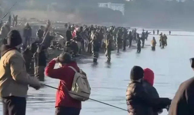 Sınırı aşan 'firari Türk somonları' Gürcüler'in ortasına takıldı