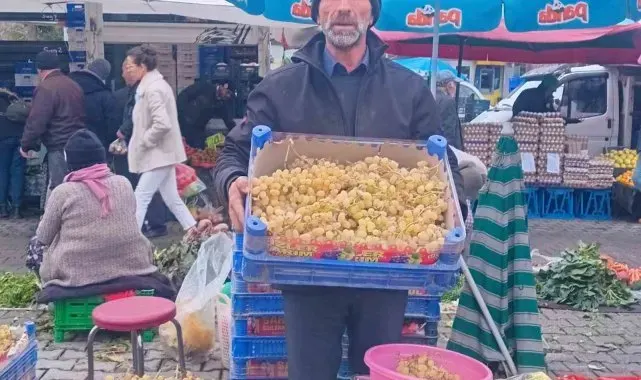 Yılbaşı sofralarının taze üzümü Sarıgöl'den