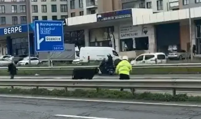 Büyükçekmece'de E-5'e giren dana trafiği kilitledi