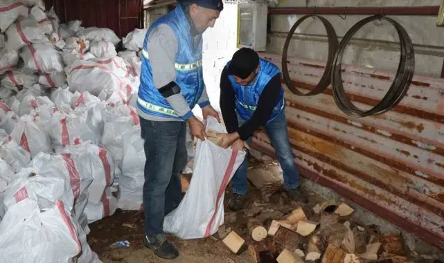 Nazilli'de devrilen ağaçlar yakacak olarak kullanılacak