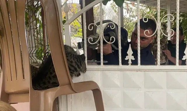 Patisi korkuluğa sıkışan kediyi itfaiye kurtardı