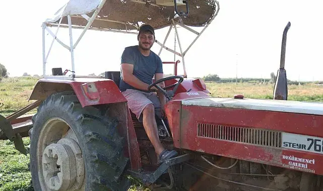 Aydın'da yonca hasadında verim yüzleri güldürdü