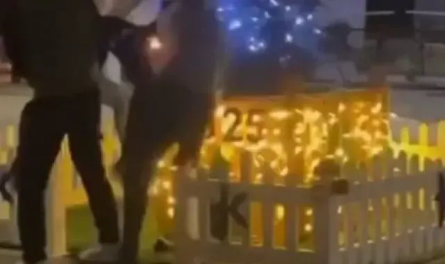 Yılbaşı ağacına baltalı saldırı kamerada