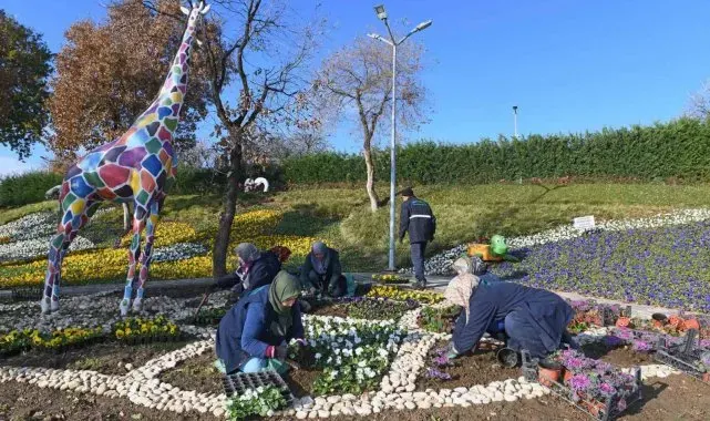 300 bin kış çiçeği toprakla buluşuyor