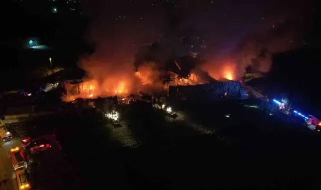 Bursa'da gıda deposundaki yangın geceyi aydınlattı