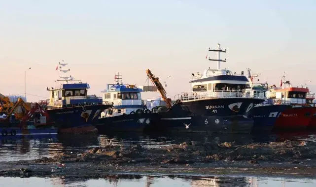 Didim Taşburun Balıkçı Barınağı'nın içler acısı hali görenleri şaşırtıyor