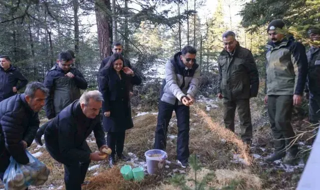 Doğada aç kalan yaban hayvanları için yem bıraktılar