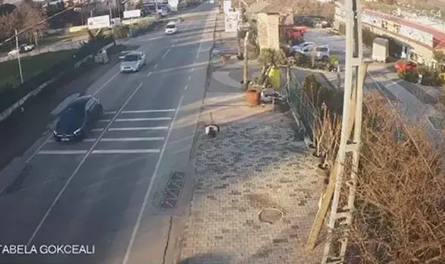 Çatalca'da bir işletmeden kaçan deve kuşları ortalığı birbirine kattı