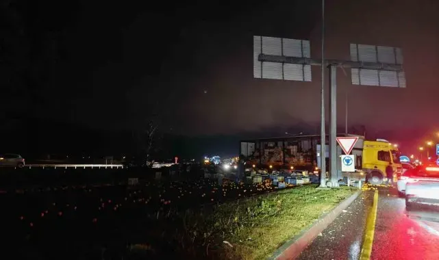 Tırdaki tonlarca narenciye yola savruldu