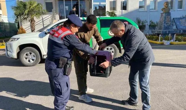 Sakarya'da kaçak avcılık yapan şahsa 48 bin 250 TL ceza