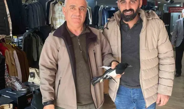 Şırnaklı esnaf yaralı bulduğu Avrupa Saksağanını DKMP'ye teslim etti