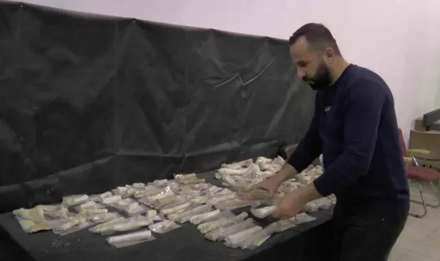 Taşhan'da 2024'te 115 fosil bulundu