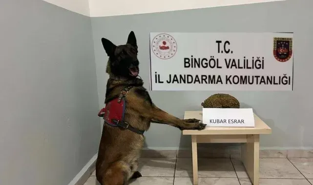 Bingöl'de uyuşturucu ve aranan şahıslara yönelik çalışma