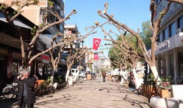 Büyükşehir İncirliova'da ağaçları budadı, vatandaşlar rahat bir nefes aldı