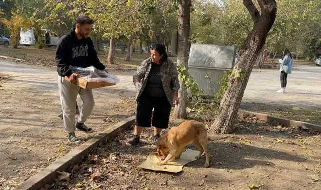 Osmaniye'de sokak hayvanları için doğaya yem bırakıldı