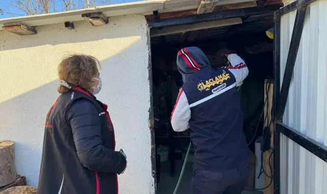 Serdivan'da kahverengi kokarca ile etkili mücadele
