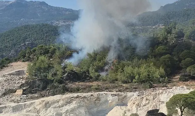 Milas'ta orman yangını