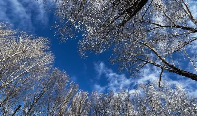 Ağrı'da soğuk hava etkisini sürdürüyor