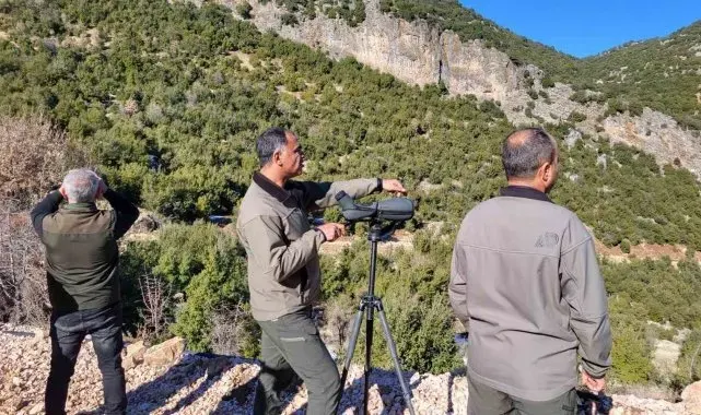 Adıyaman'da yaban keçilerinin popülasyonu çıkartıldı