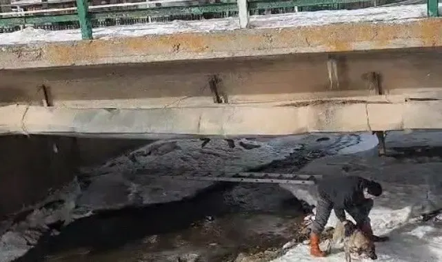 Buz tutan Çoruh Nehri'nde baba ve çocuklarının yürekleri ısıtan köpek kurtarma operasyonu