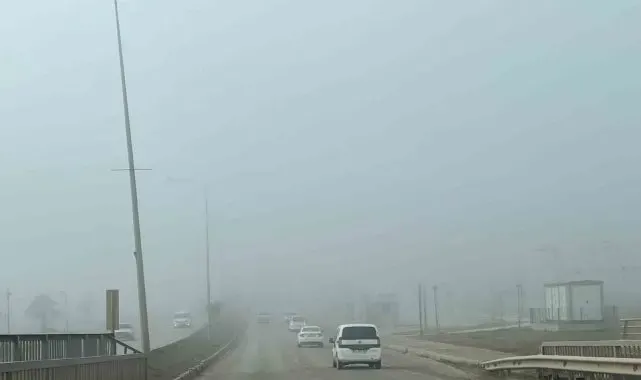 Adıyaman'da yoğun sis etkili oldu