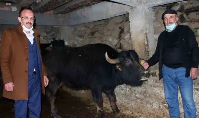 Giresun'da 289 manda işletmesine 8 milyon 422 bin 600 TL destek ödemesi yapıldı