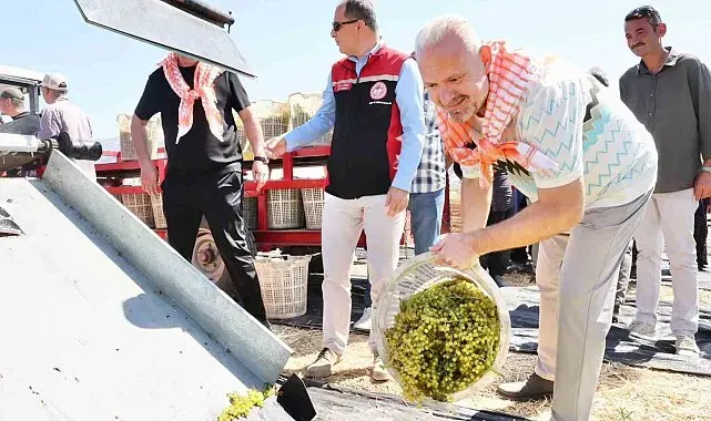 Menemen'de 'Bağ Bozumu' coşkusu