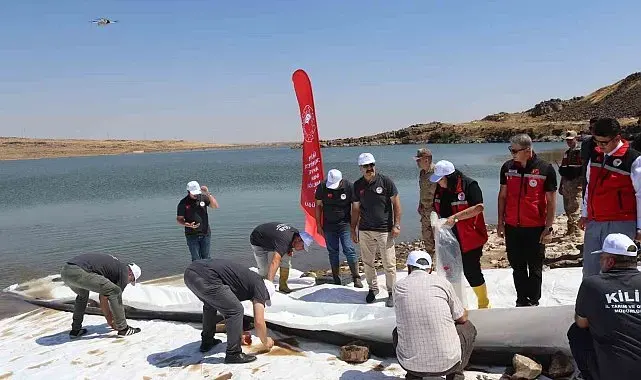Kilis'teki göletlere 600 bin adet yavru balık bırakıldı