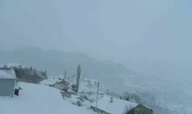 Posof'ta tipi etkili oluyor