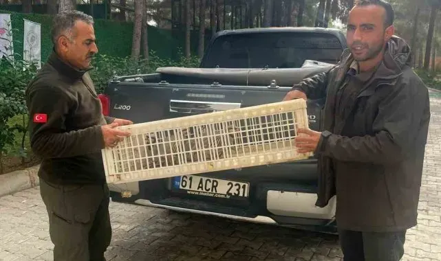 Habur Sınır Kapısı'nda 11 kınalı keklik ele geçirildi: 4 şüpheliye 89 bin 261 TL ceza kesildi