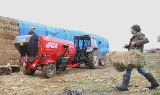 Üniversiteli çoban kış mevsiminde küçükbaş hayvan bakımının zorluklarını anlattı